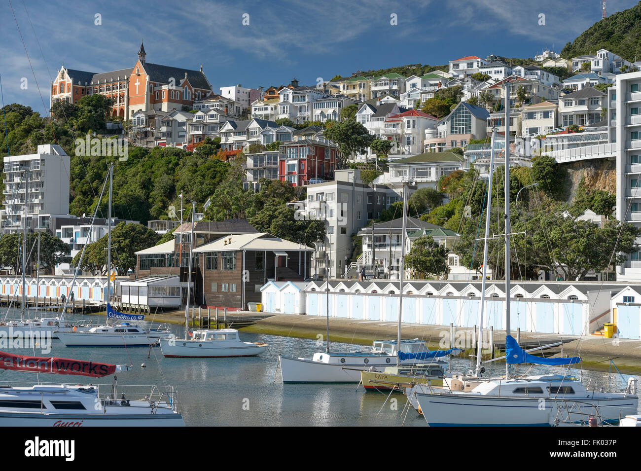 Sailing yachts in port, Oriental Bay behind, Wellington, North Island, New Zealand Stock Photo
