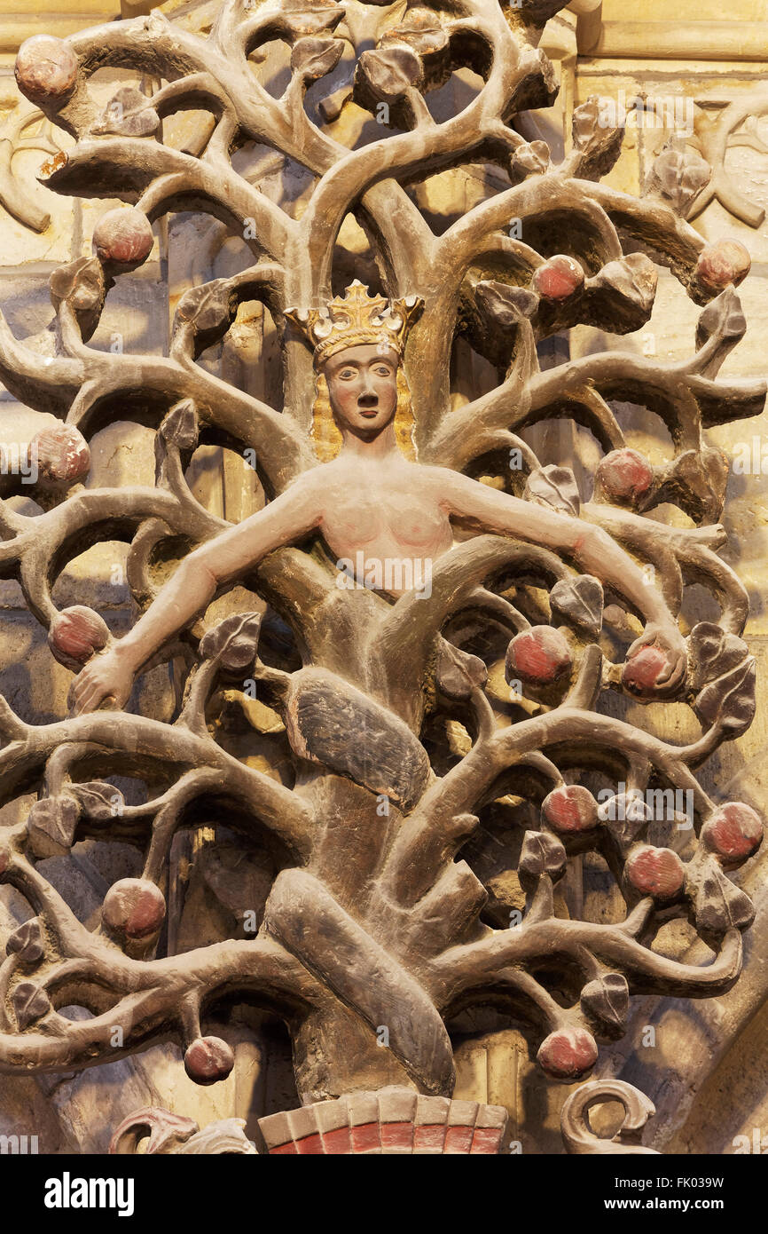 Tree of the knowledge of good and evil with snake 16th century, Halberstadt Cathedral or Church of St. Stephen and St. Sixtus Stock Photo