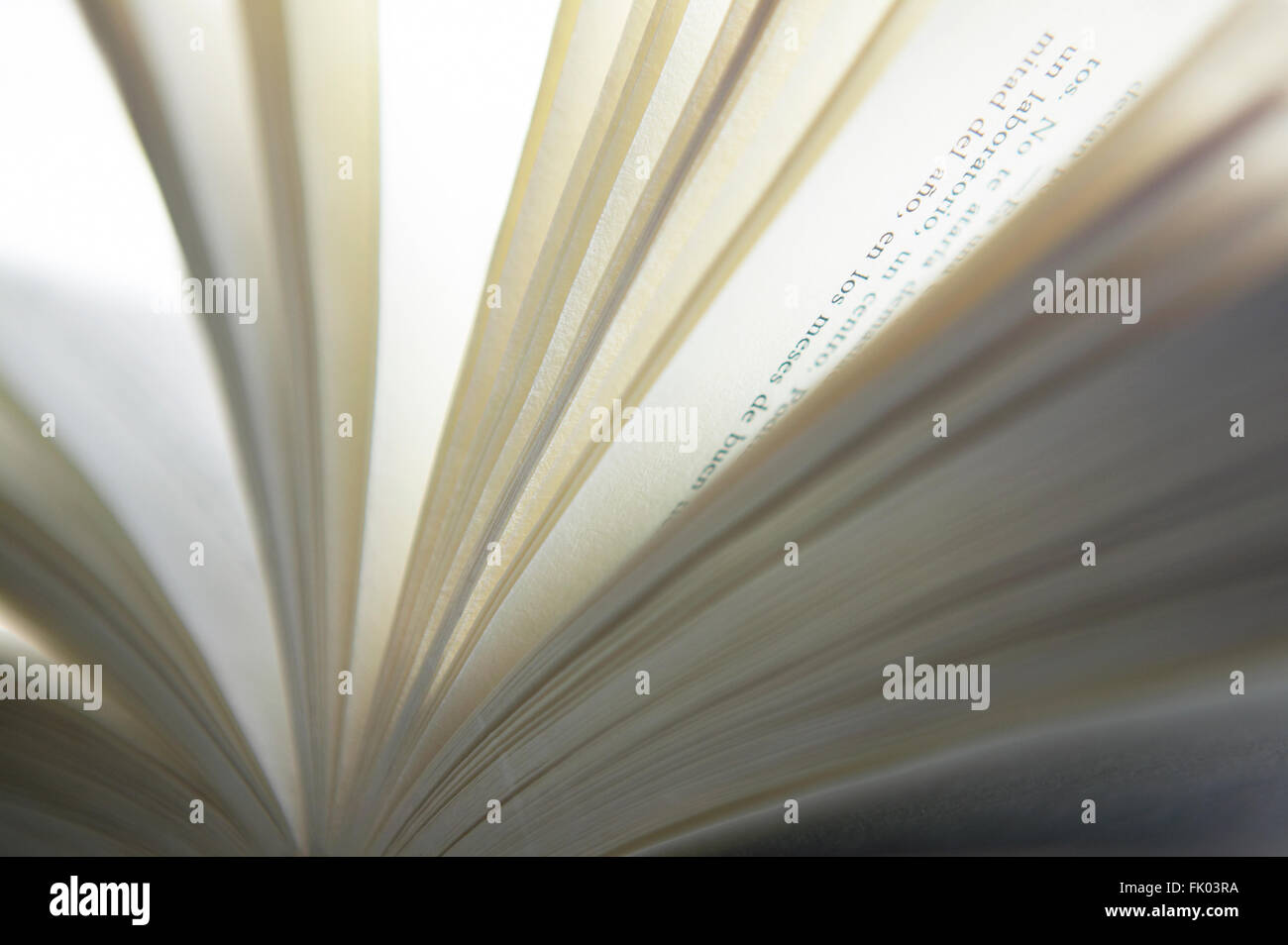 Detail of an open book in warm tone. Horizontal Stock Photo - Alamy