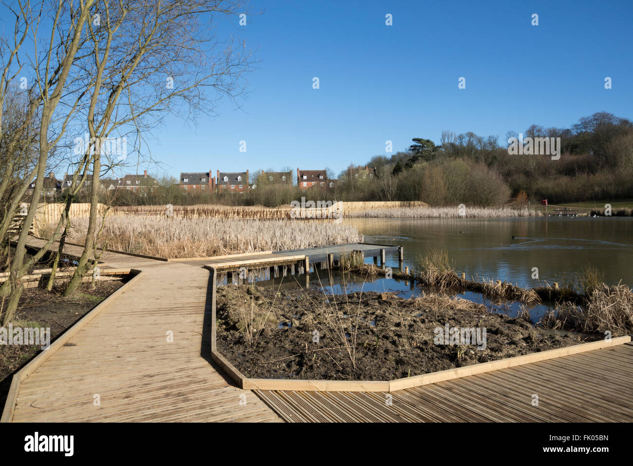 Wetlands habitat in urban wildlife park, with viewing platforms Stock Photo