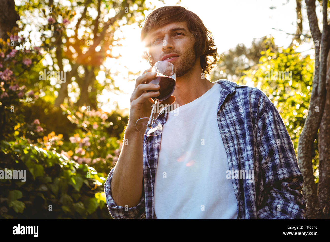 Serious man drinking red wine Stock Photo - Alamy