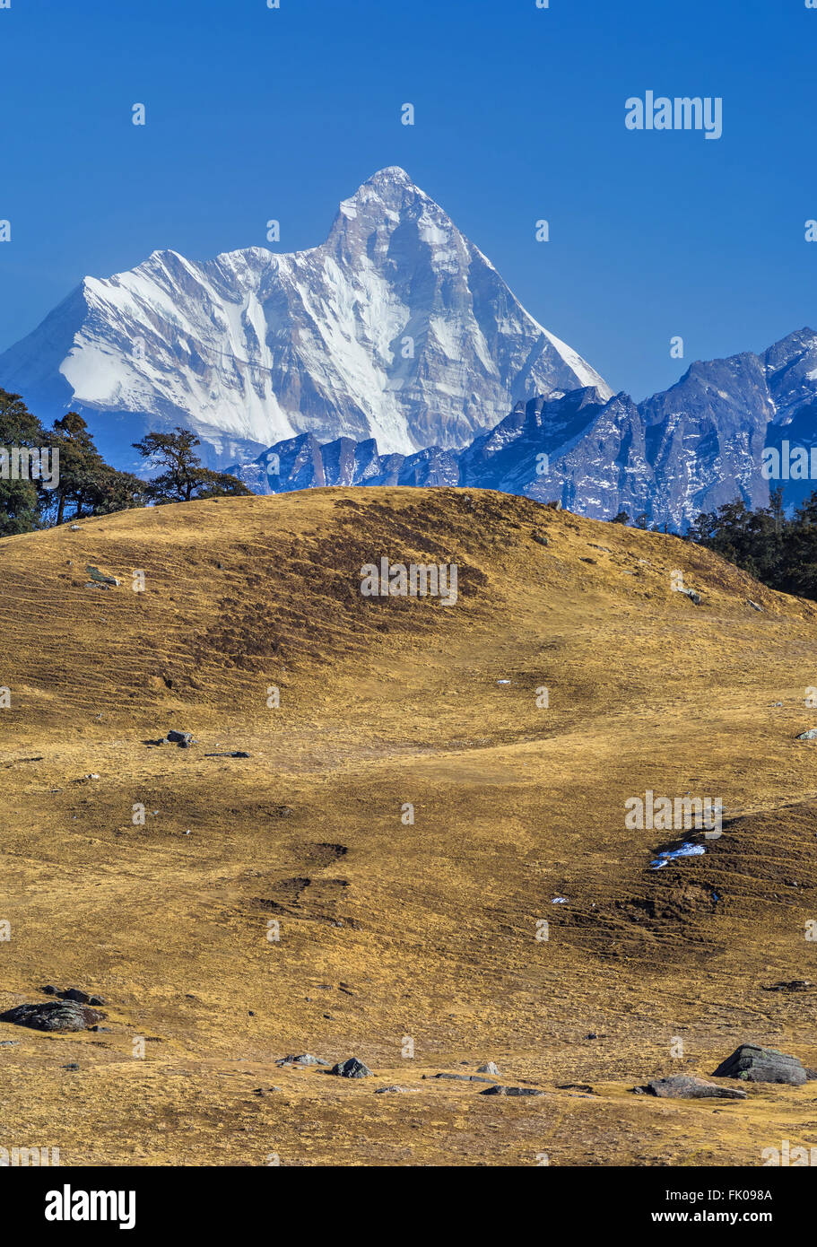 High altitude meadow  ' Gorson Bughyal'  and Nanda Devi Peak  at Auli, Uttrakhnad, India Stock Photo