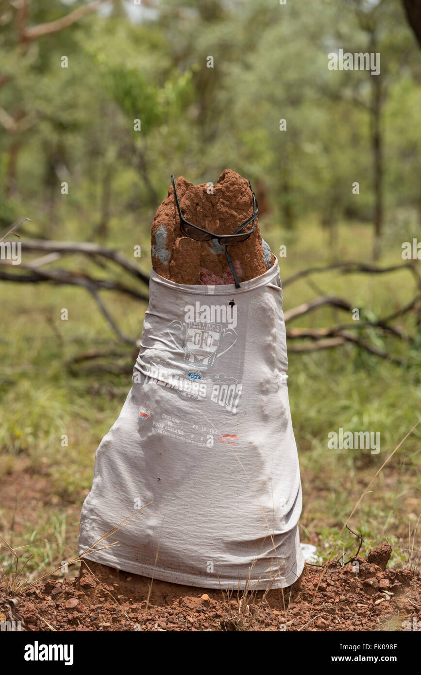 Termite mound dressed in t-shirt and shades in the Northern Territory. Stock Photo