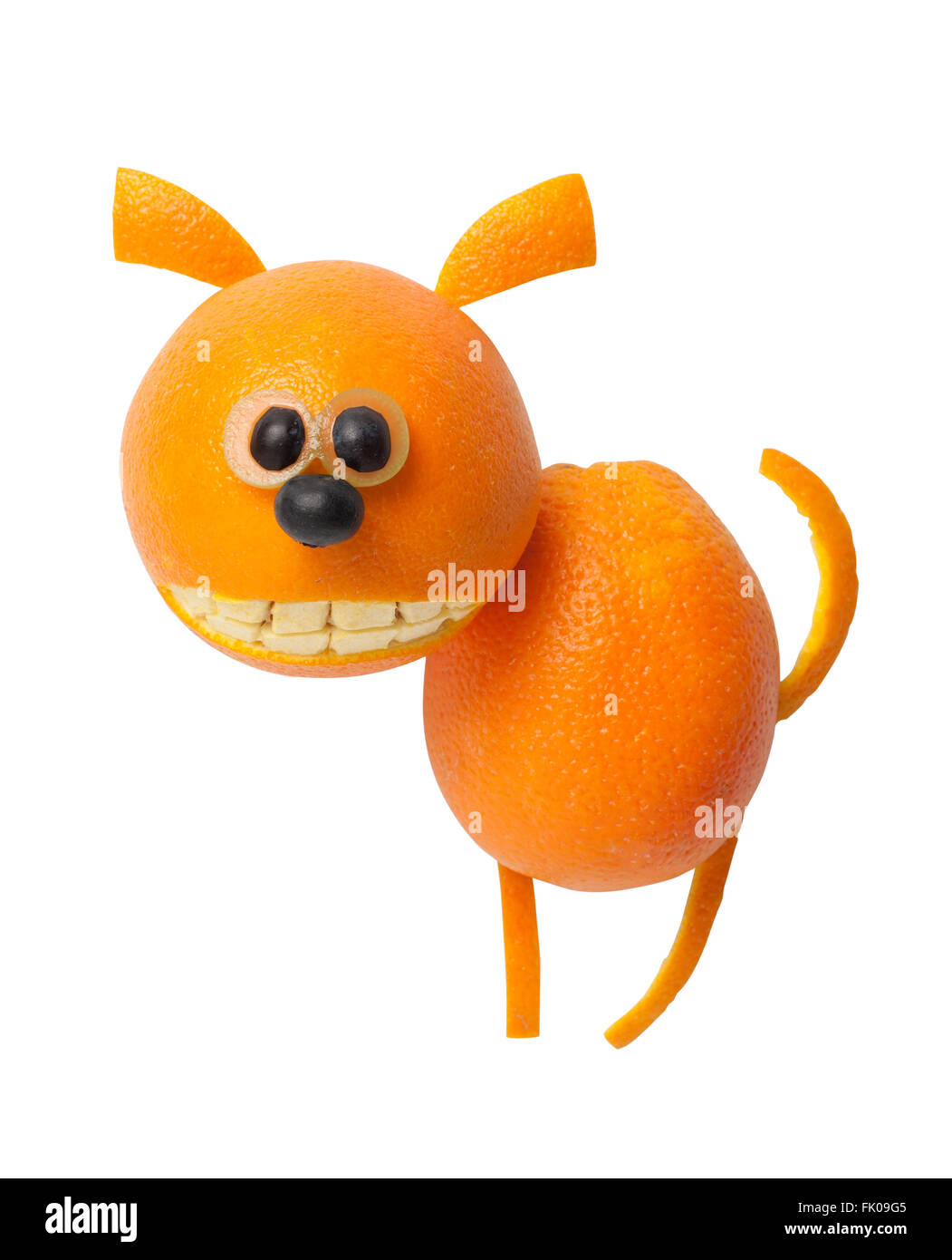 Amusing dog made of orange on white background Stock Photo - Alamy