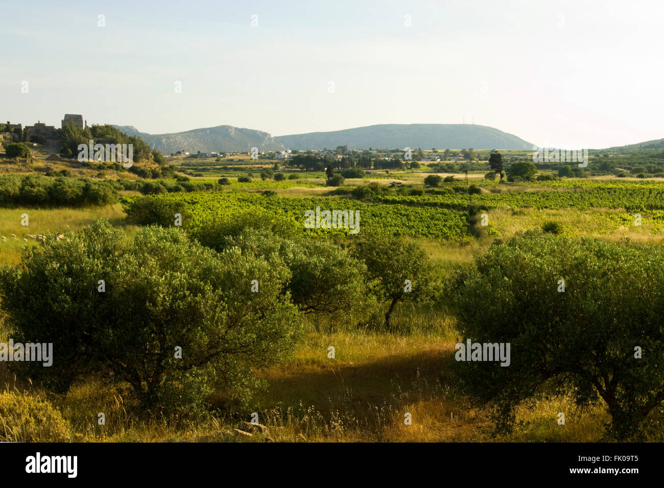 Griechenland, Kreta, Lanschaft auf der Chandras-Hochebene bei Voila Stock Photo