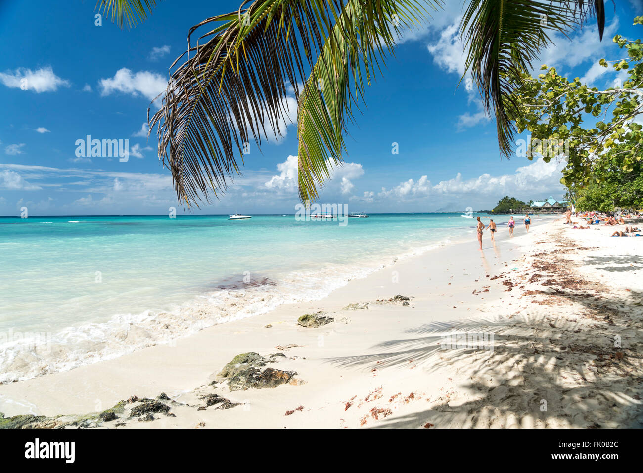 palm fringed sandy beach of Bayahibe, Dominican Republic, Carribean, America, Stock Photo