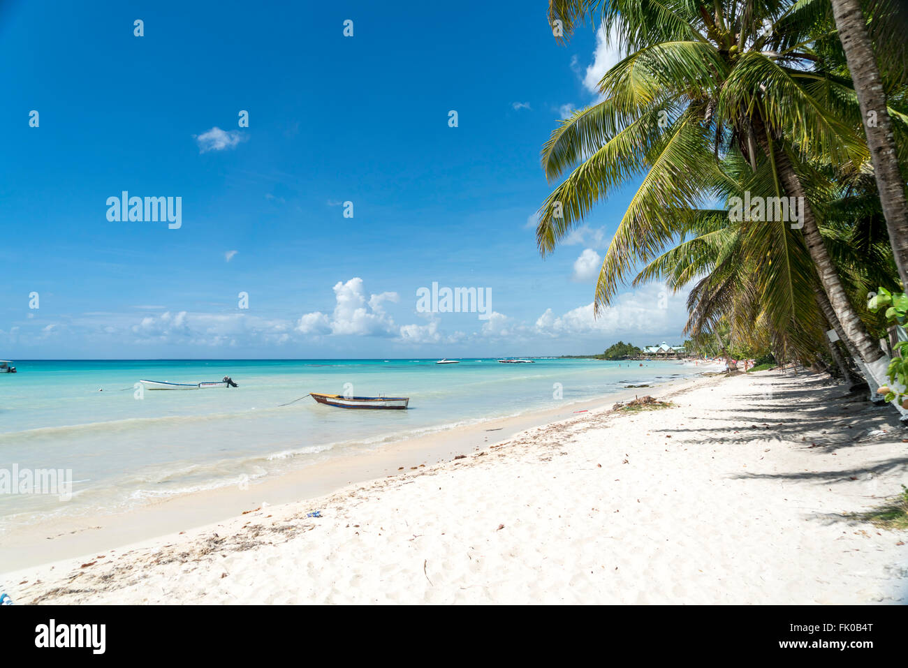 palm fringed sandy beach of Bayahibe, Dominican Republic, Carribean, America, Stock Photo