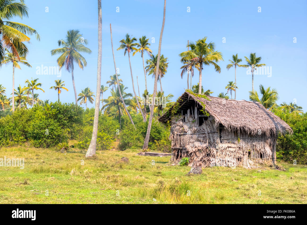 a shack in the jungle of Kochi, Kerala, India, Asia Stock Photo