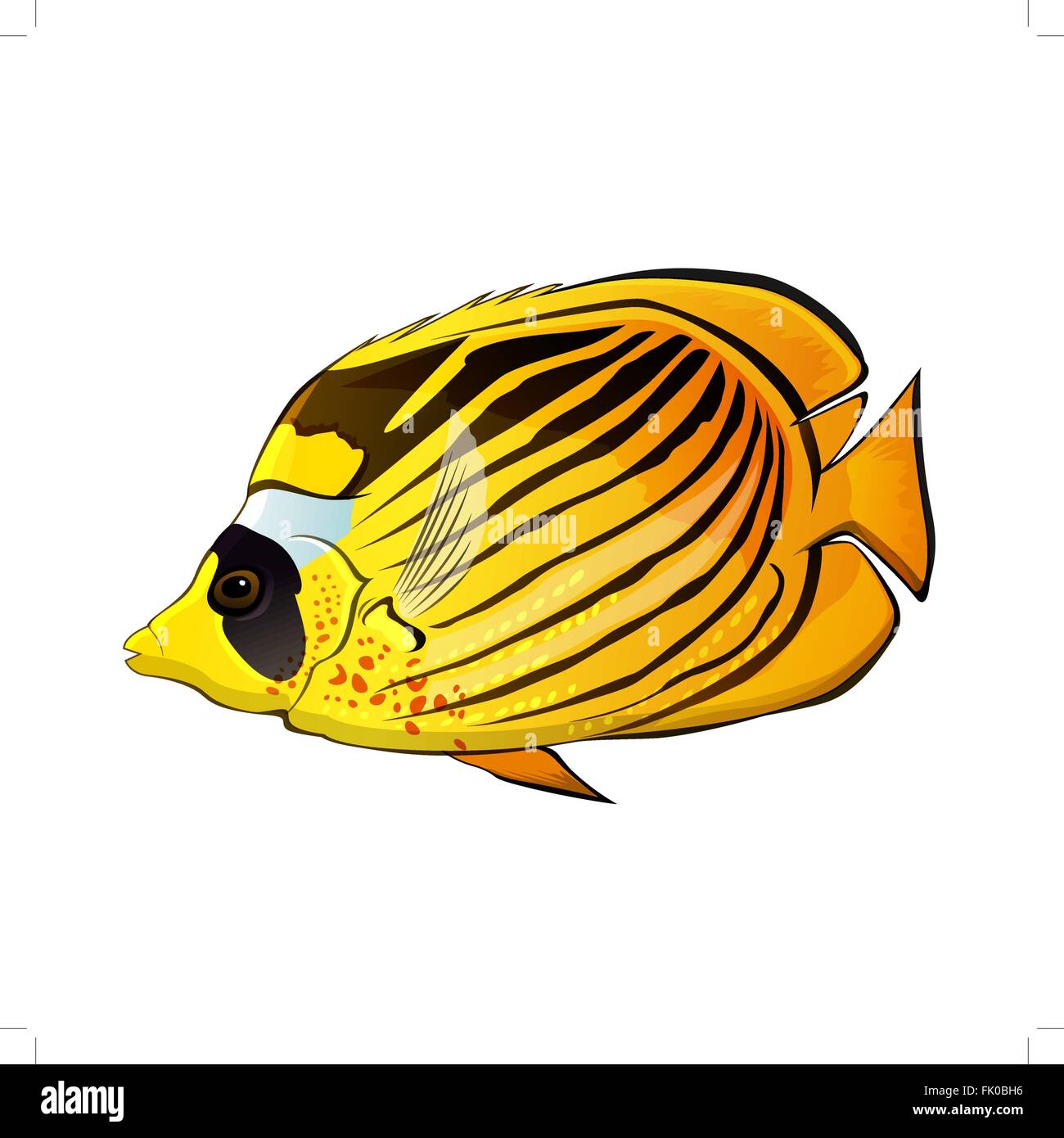 Butterfly fish Illustration Stock Vector Image & Art Alamy