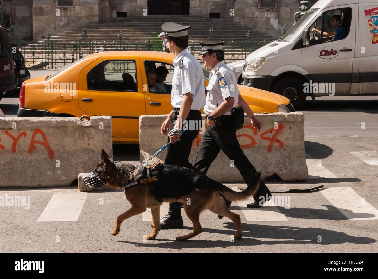 Police officer with police dog hi-res stock photography and images - Page  13 - Alamy