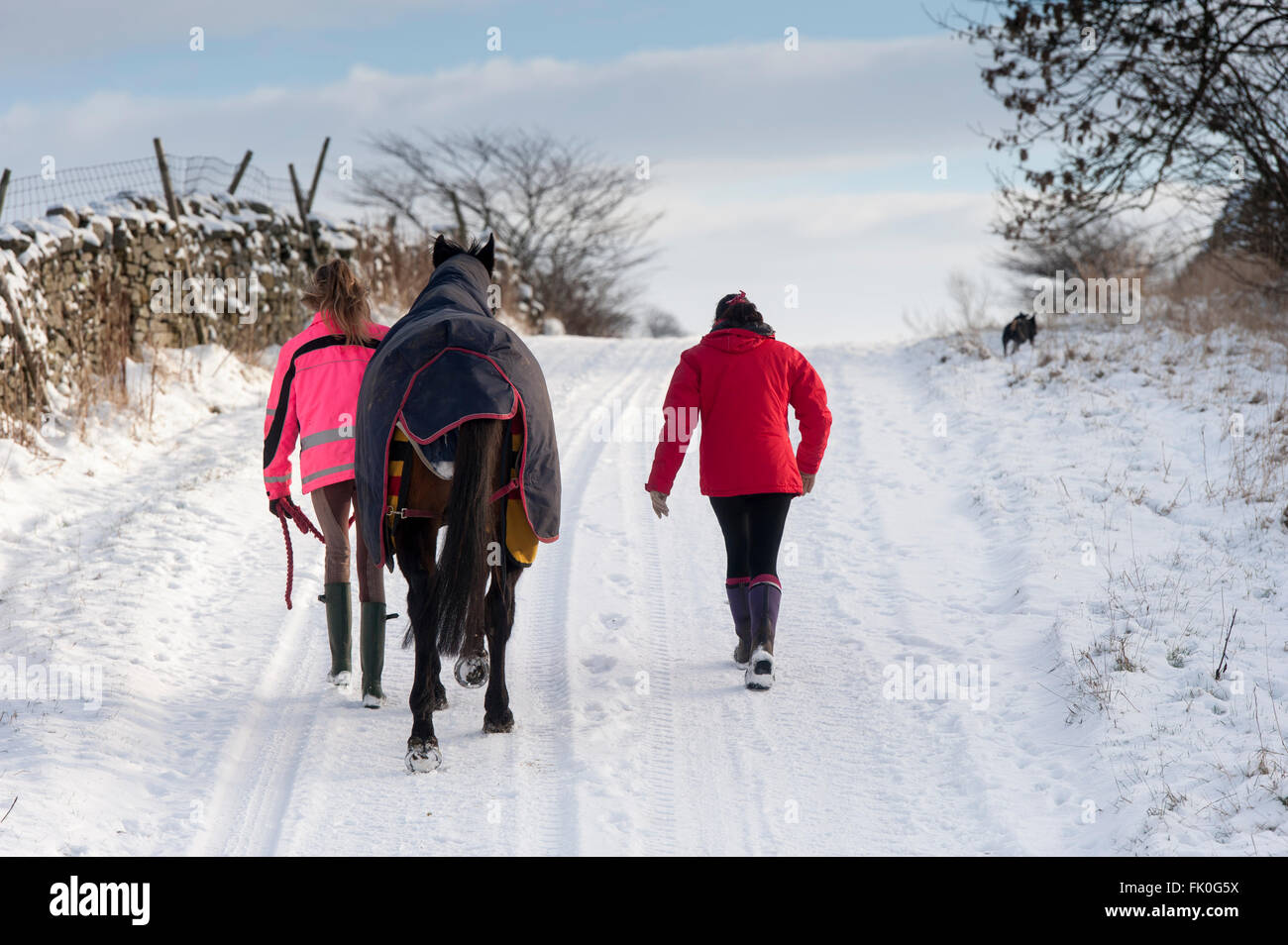 Mother and daughter taking horse for walk on a snowy morning, Hawes
