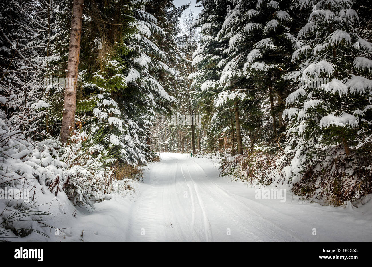 Winter landscape. Road covered in snow in dense forest Stock Photo - Alamy