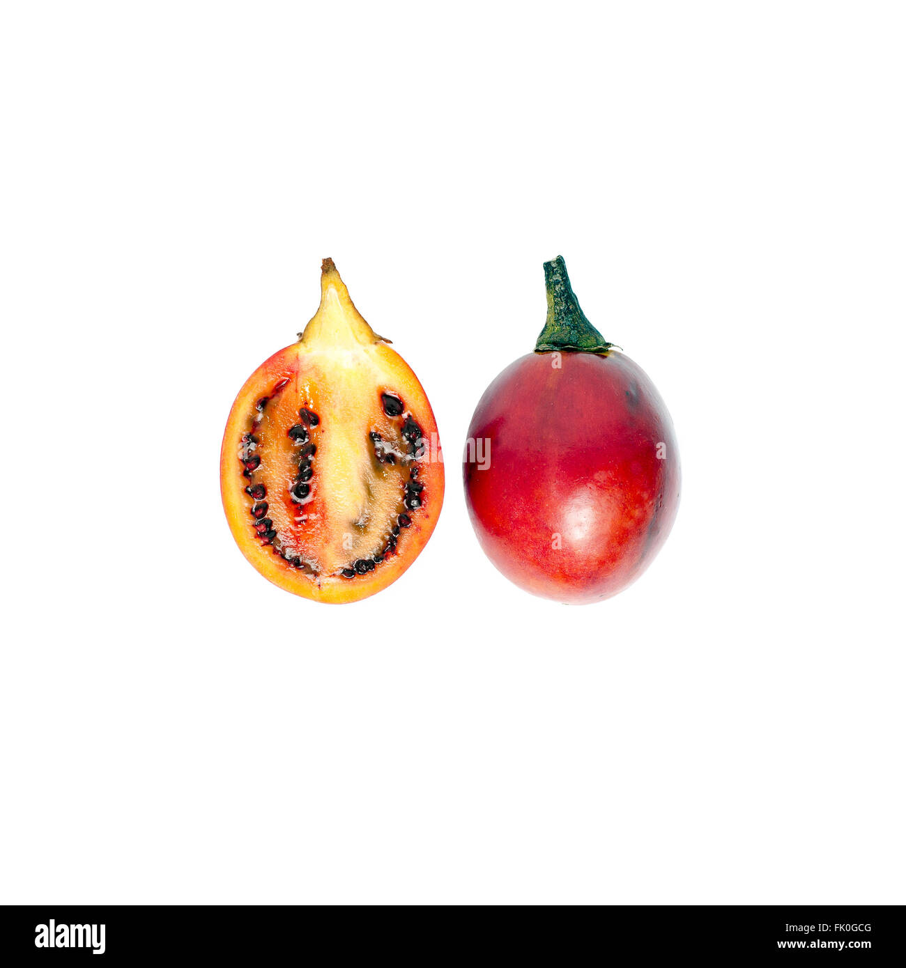 Tamarillo intelligence overview