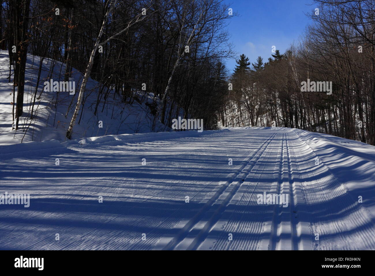 Crosscountry skiing trails in Gatineau Park, Quebec, February 26, 2016