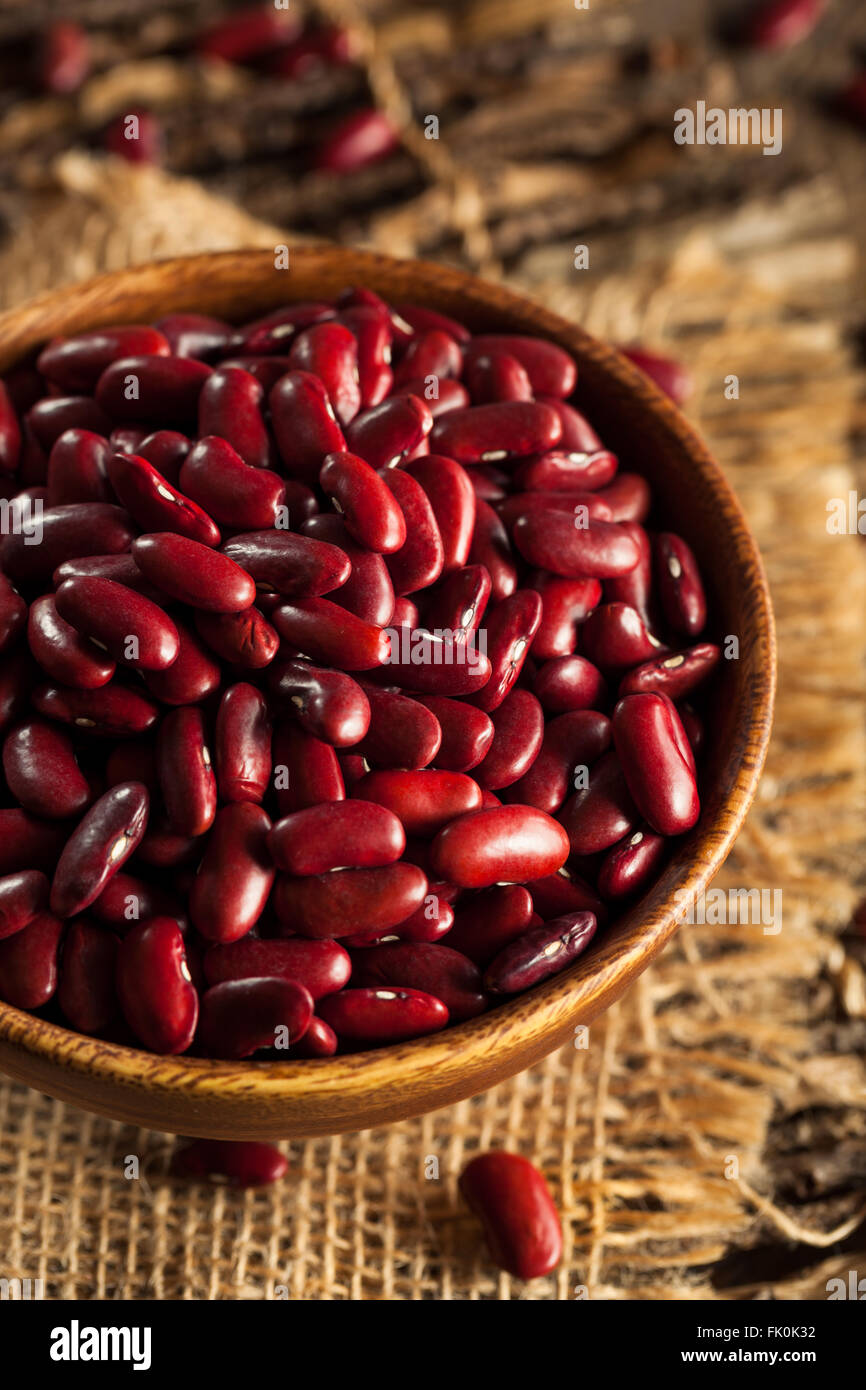 Raw Red Organic Kidney Beans in a Bowl Stock Photo