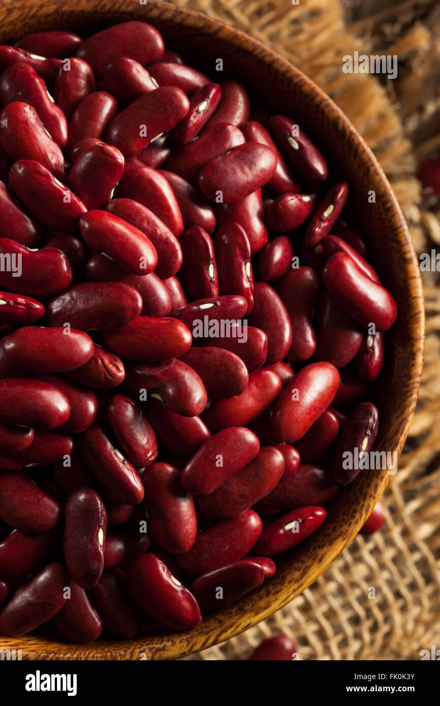 Raw Red Organic Kidney Beans in a Bowl Stock Photo