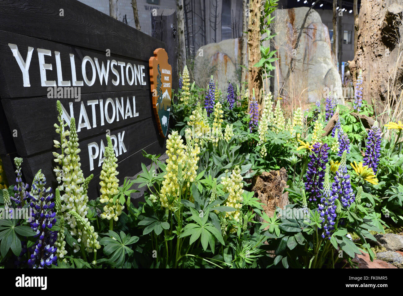 Philadelphia, USA. 4th March, 2016. The anniversary of the U.S. National Park System is celebrated at the 'Explore America' themed 2016 PHS flower Show. The annual show, the largest in its kind, is held at the Pennsylvania Convention Center in Center City Philadelphia PA., and runs till March 13. Stock Photo