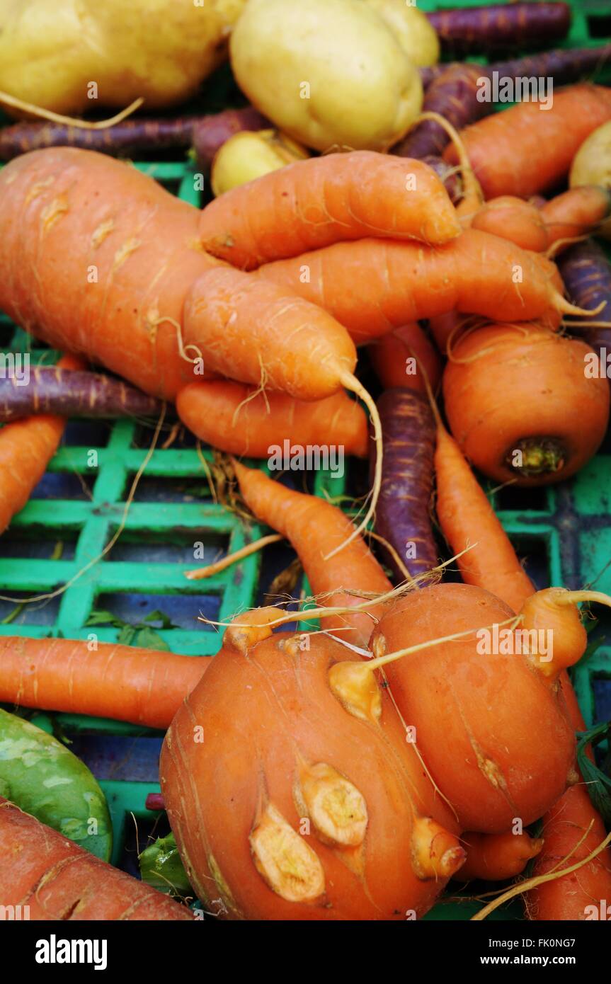 Ugly misshapen carrots at the farmers market Stock Photo