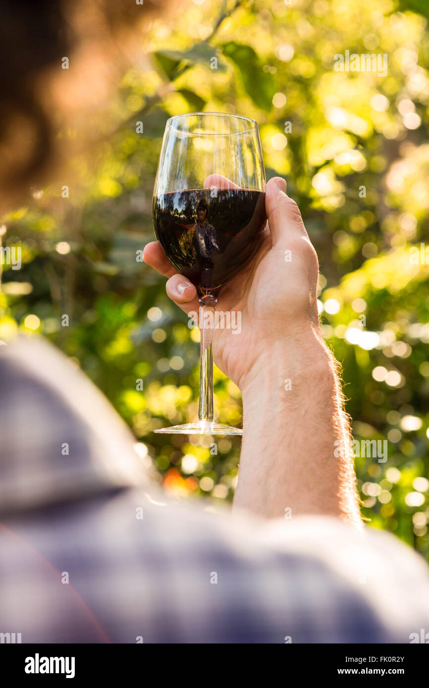 Man holding a glass of red wine Stock Photo - Alamy