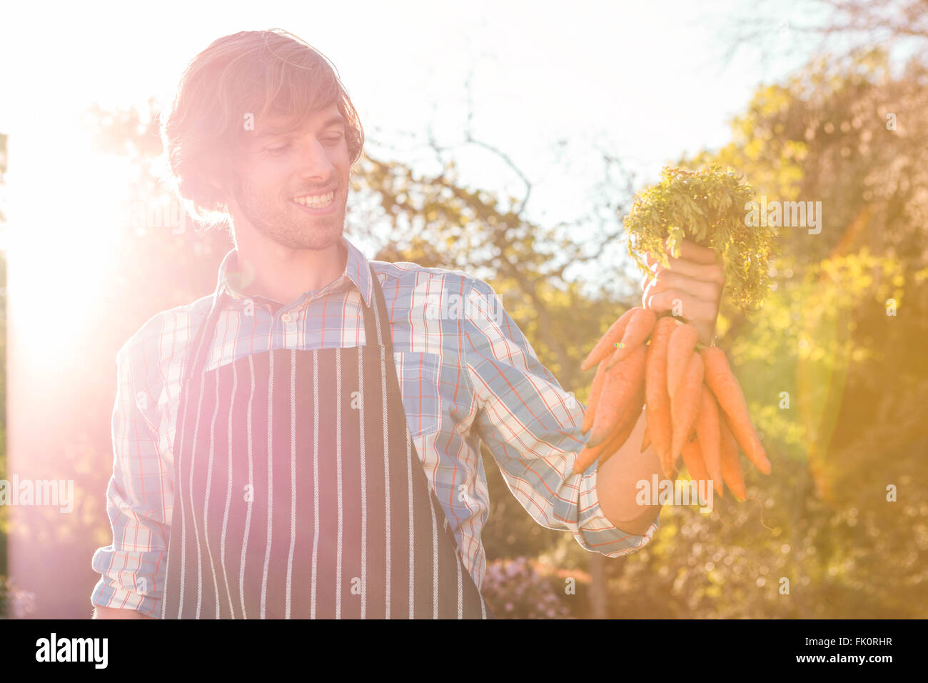Gardener man holding a bunch of carrots Stock Photo - Alamy