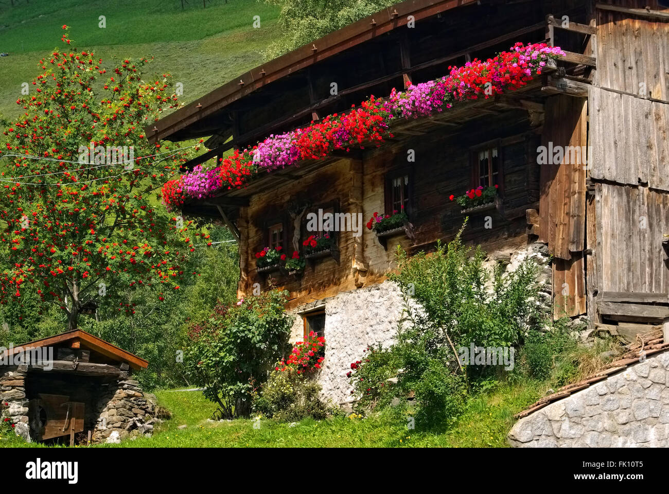 Almhütte mit Blumen in den Alpen - old chalet with flowers in Alps Stock Photo