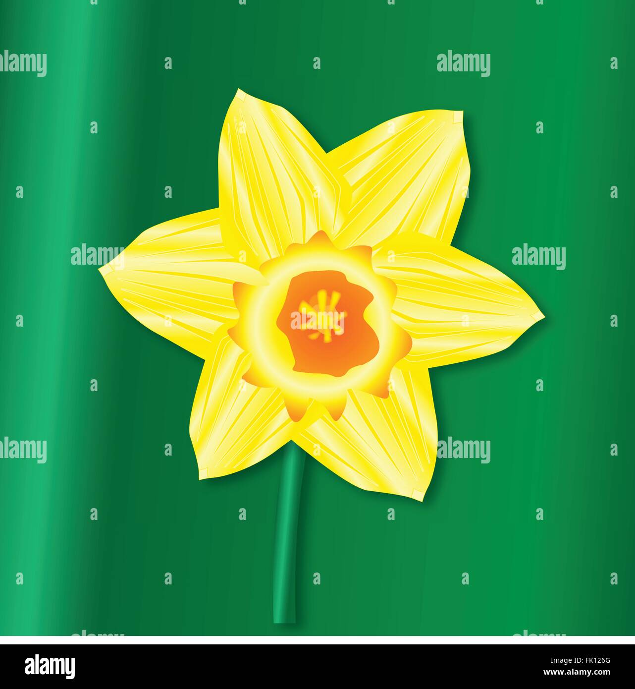 A Saint Davids Day daffodil over a green background Stock Vector