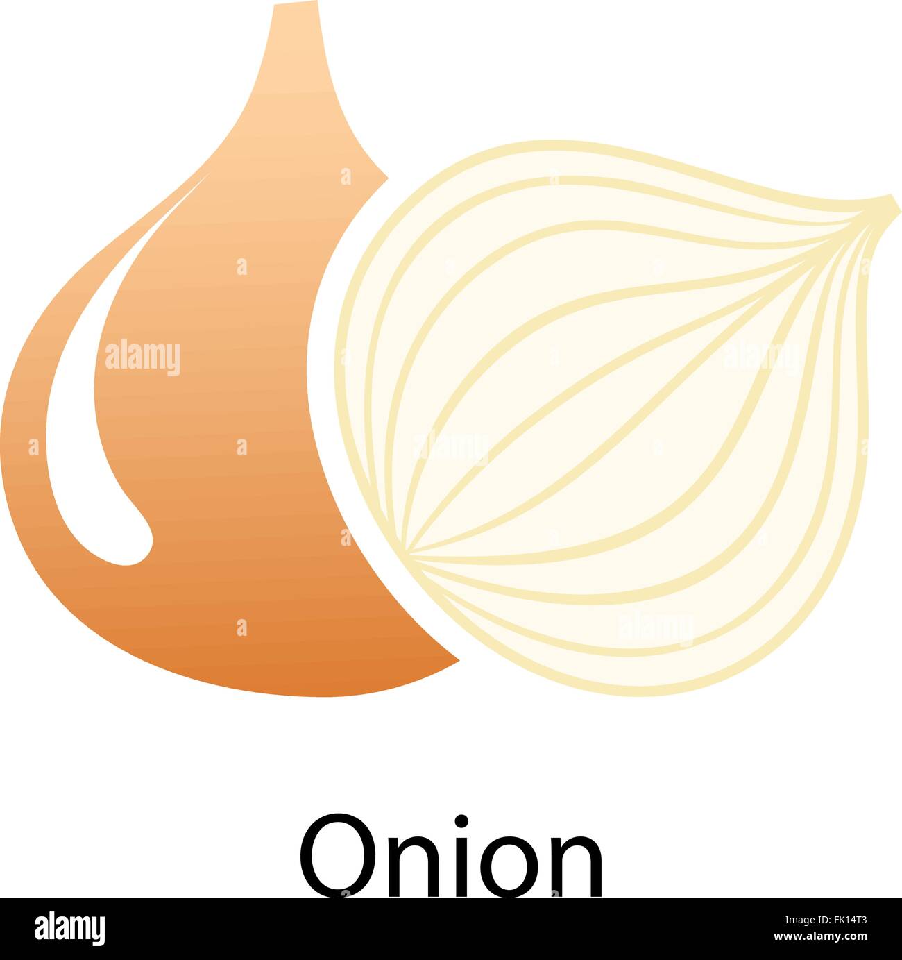 Onion icon on white background. Vector illustration Stock Vector Image ...