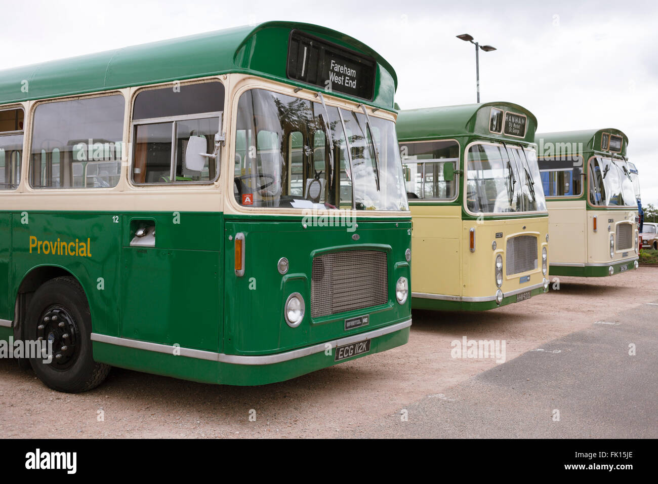 A row of three green and cream vintage buses, a Bristol RELL6G in Provincial livery in the foreground, at the Vintage Bus Rally. Stock Photo