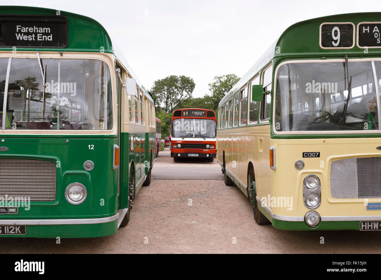 Three vintage buses in complementary colours of green, cream and red at the annual Bristol Vintage Bus Rally. Stock Photo