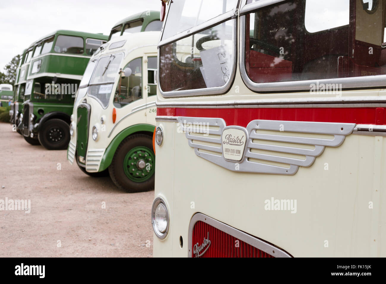 A row of vintage buses of the 1950s and 1960s at the Bristol Vintage Bus Rally, a 1965 Bristol Greyhound in the foreground. Stock Photo