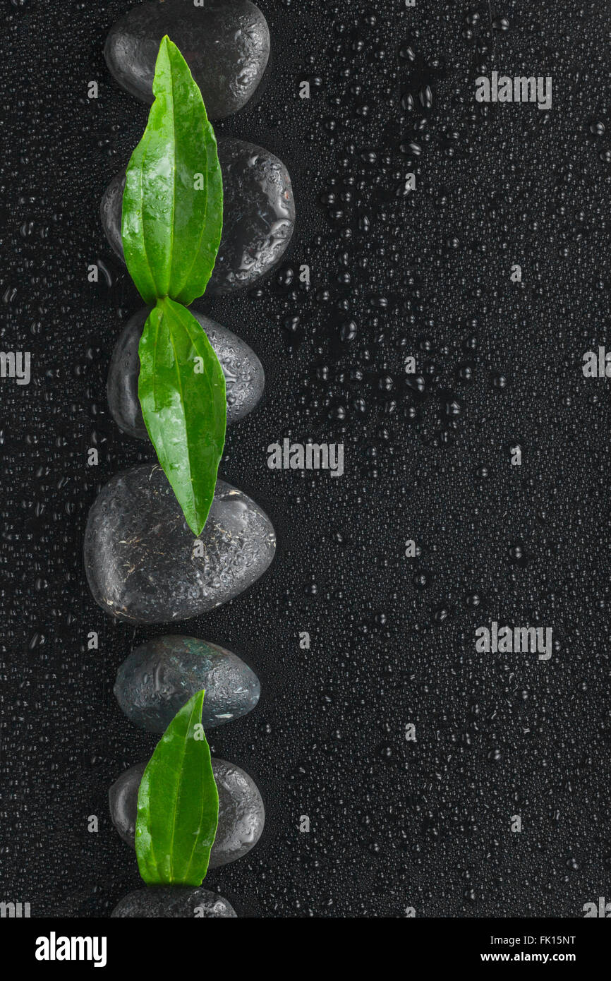 Line made from black stones and leaves, as background Stock Photo