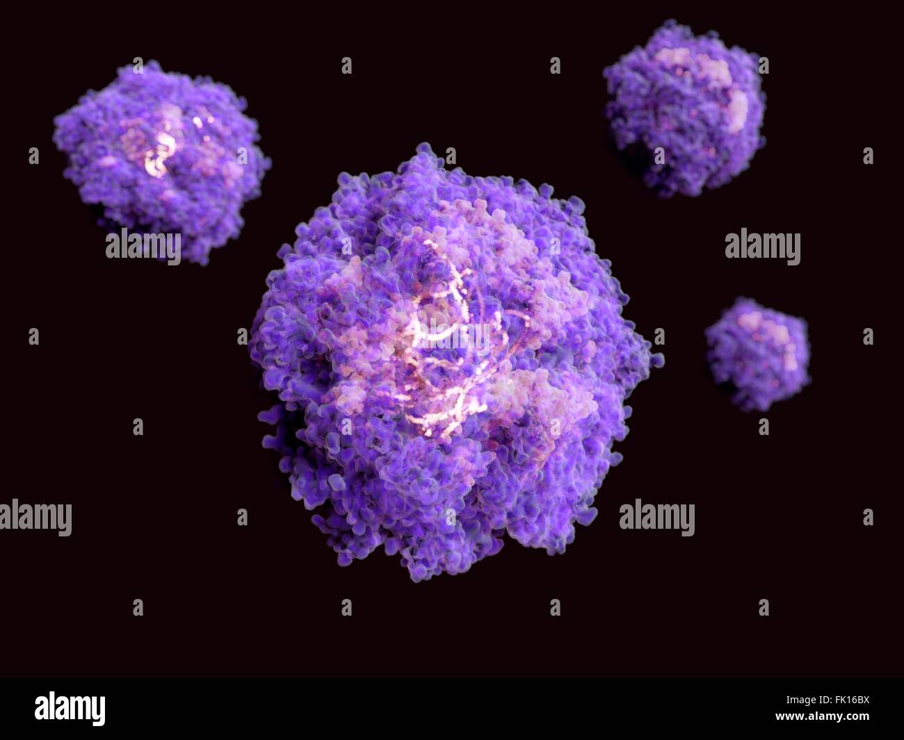 Illustration of virus particles (virions). Each virus has an outer protein-lipid envelope (purple) and an inner protein capsid Stock Photo
