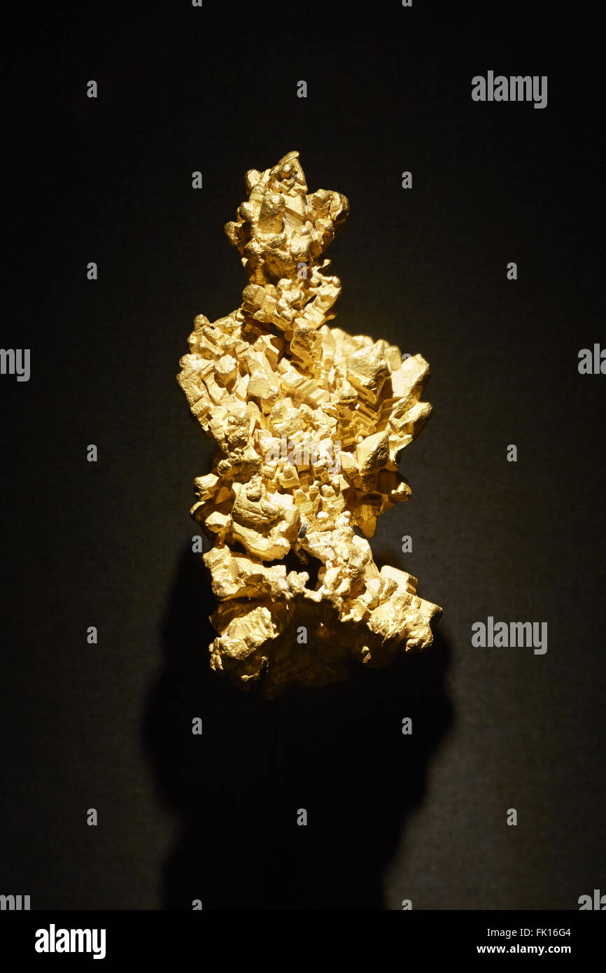 The Latrobe gold nugget on display in The vault in Natural History Museum in London Stock Photo