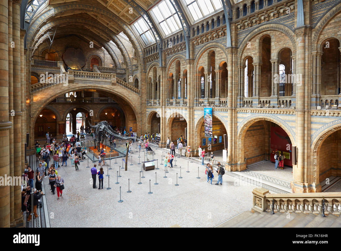 Natural History Museum interior with people and tourists in London Stock Photo