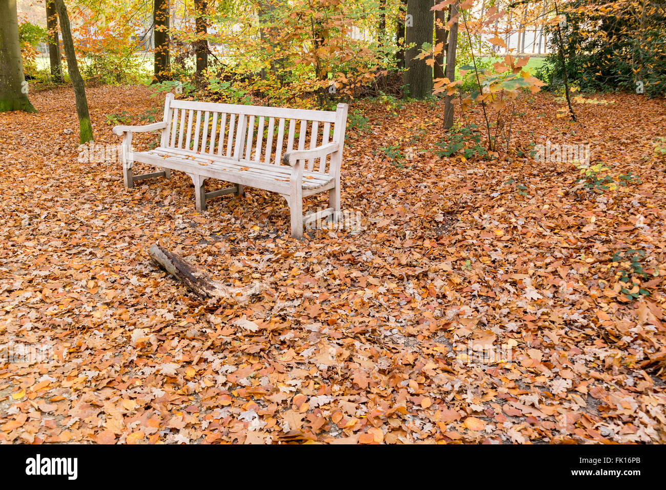 Wooden bench surrounded by many old fallen leaves in woods in autumn, Netherlands Stock Photo