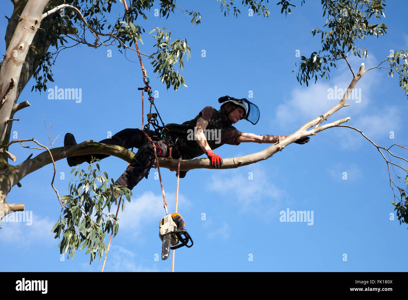 Chain saw cutting climb hi-res stock photography and images - Alamy