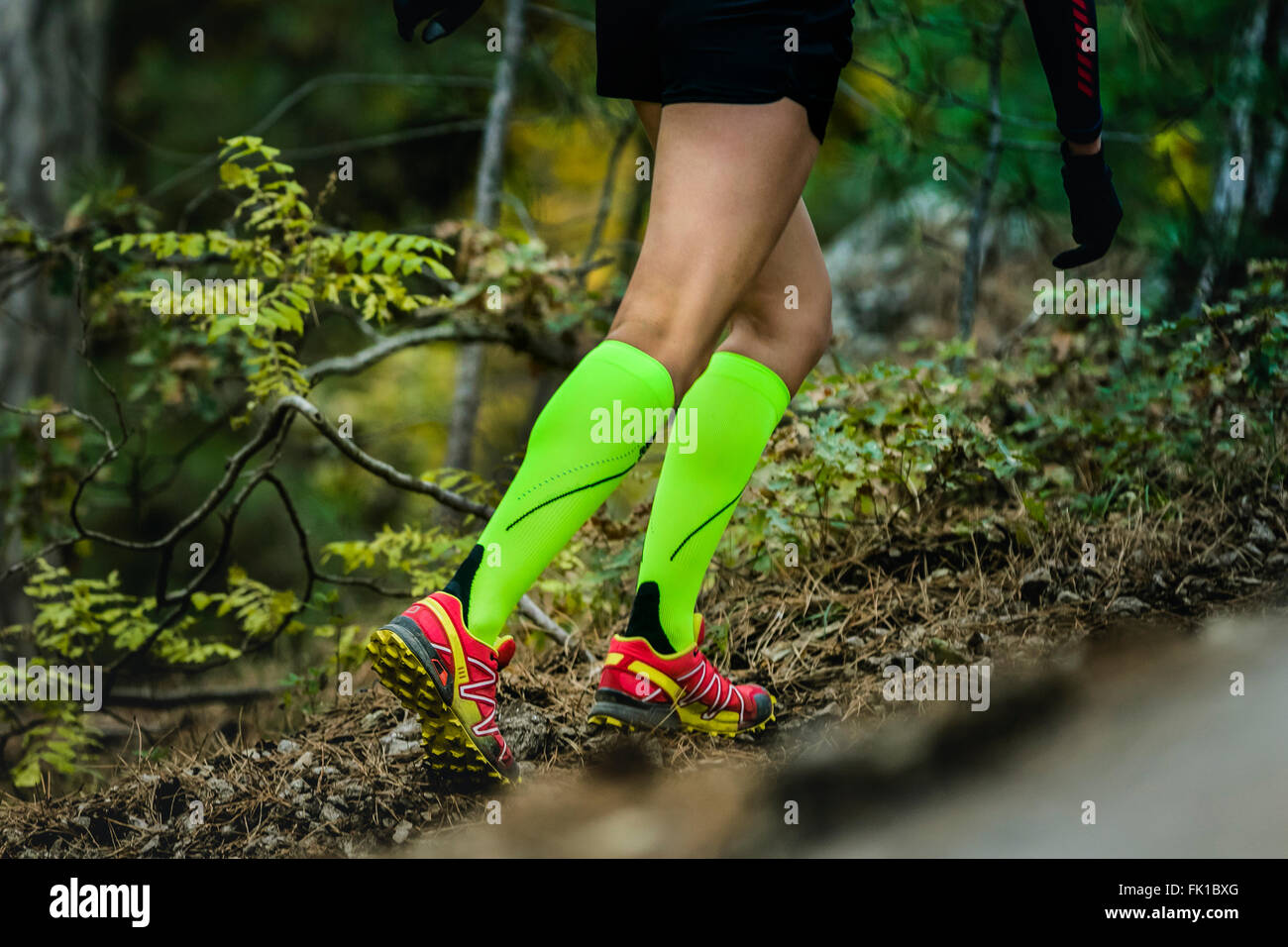 closeup slender and beautiful legs of woman running  in compression socks. fitness and exercise in forest Stock Photo