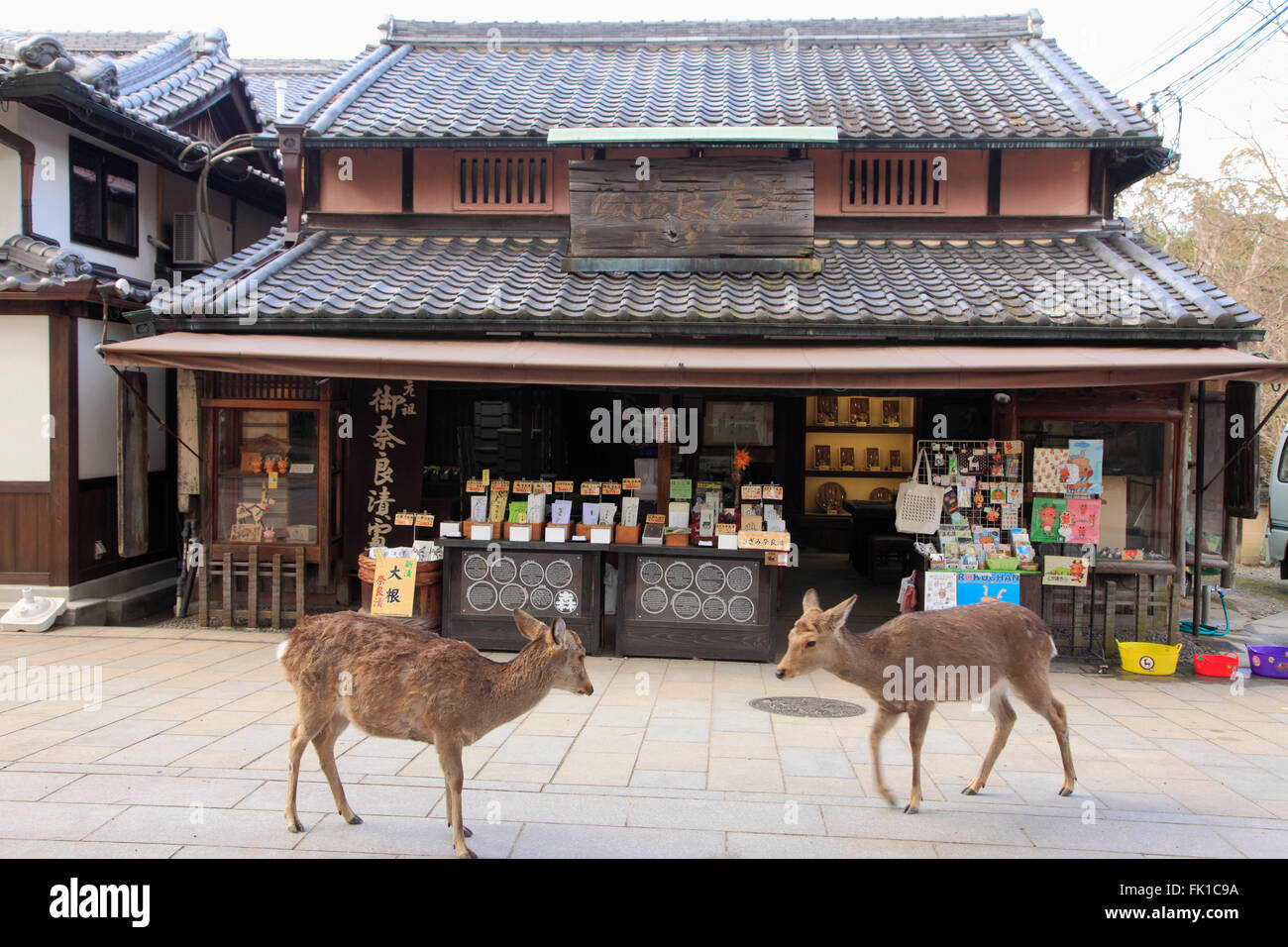 Japan, Nara, street scene, shop, deer, Stock Photo