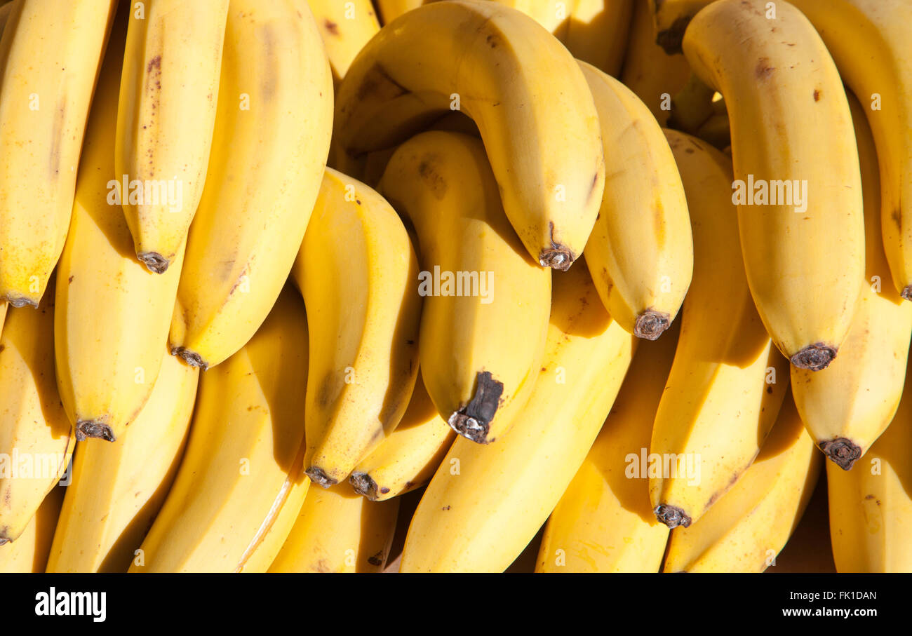 Banana fruits hires stock photography and images Alamy