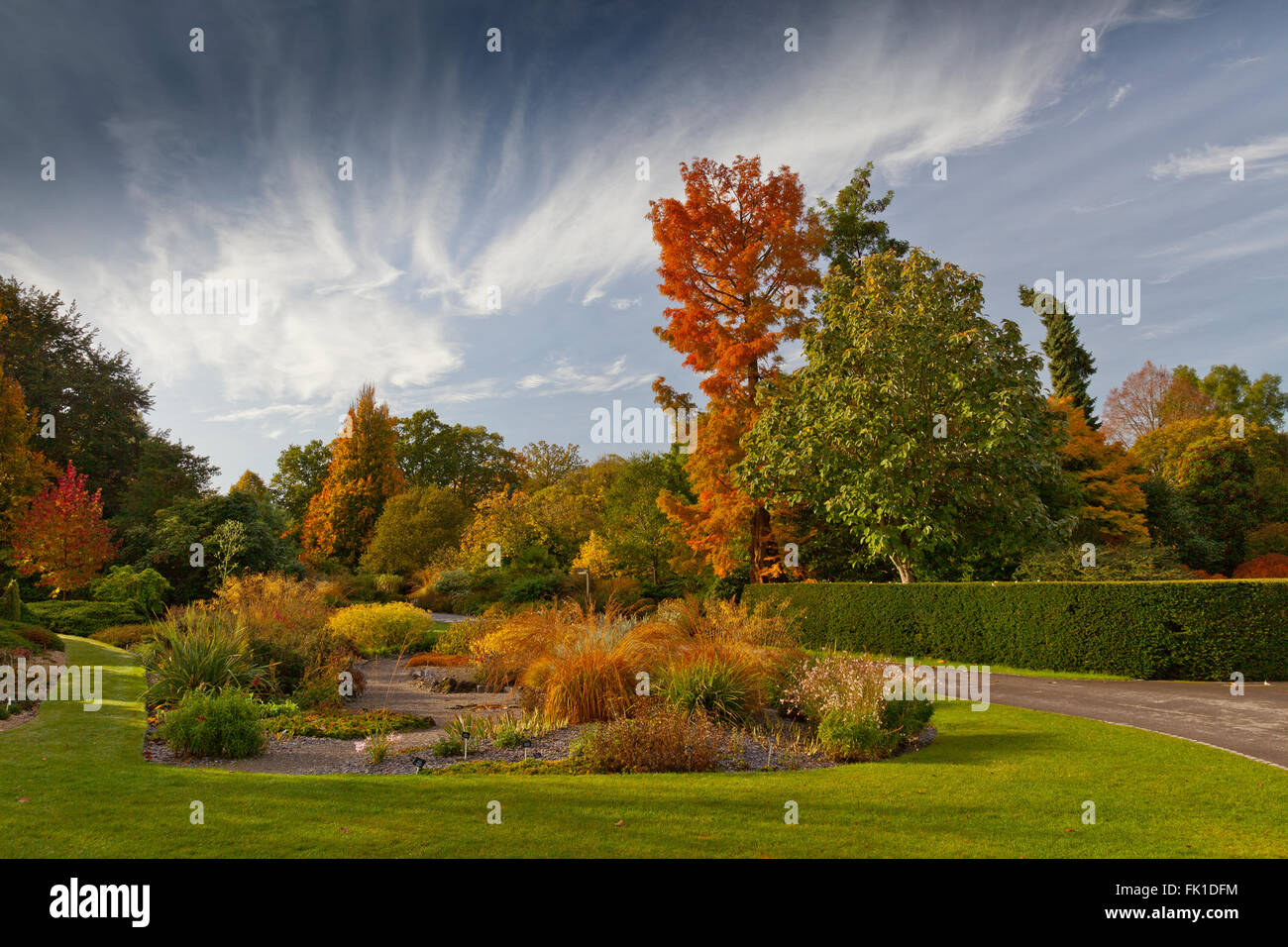 Brilliant autumn colours in the Sir Harold Hillier Gardens, Romsey