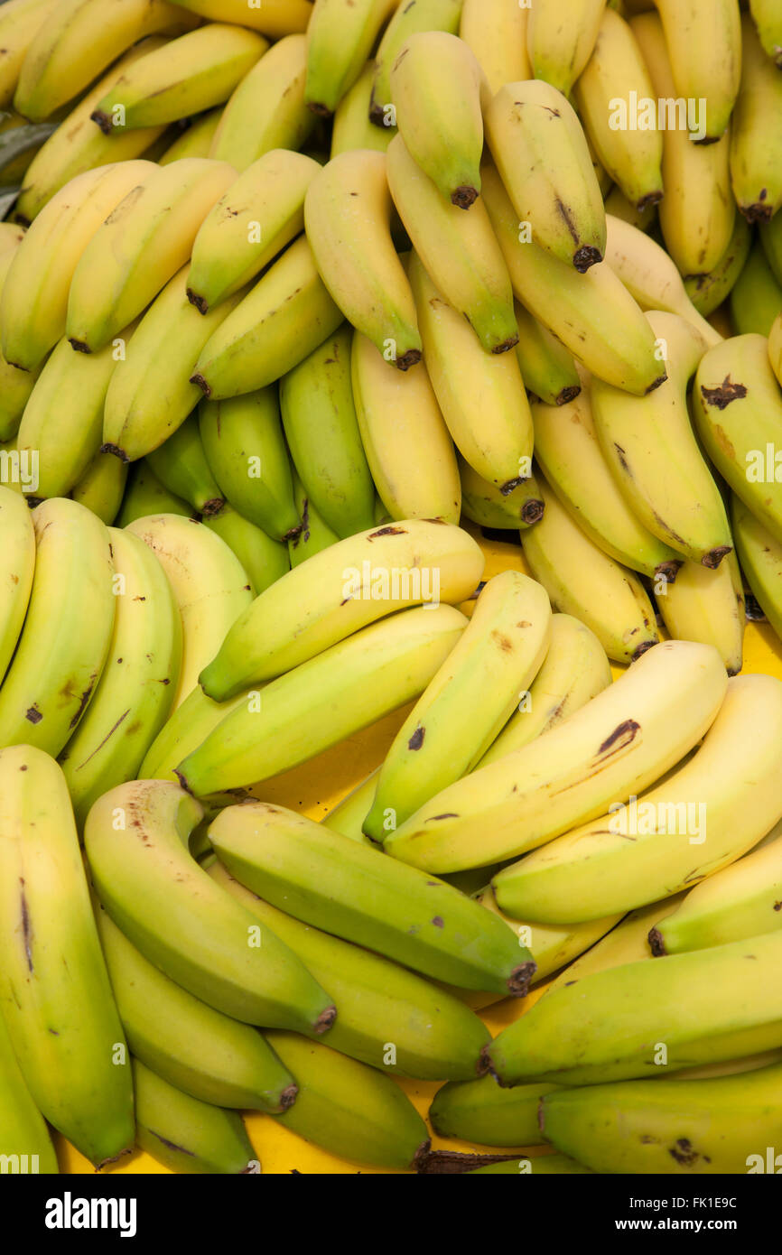 Banana bunches hi-res stock photography and images - Alamy