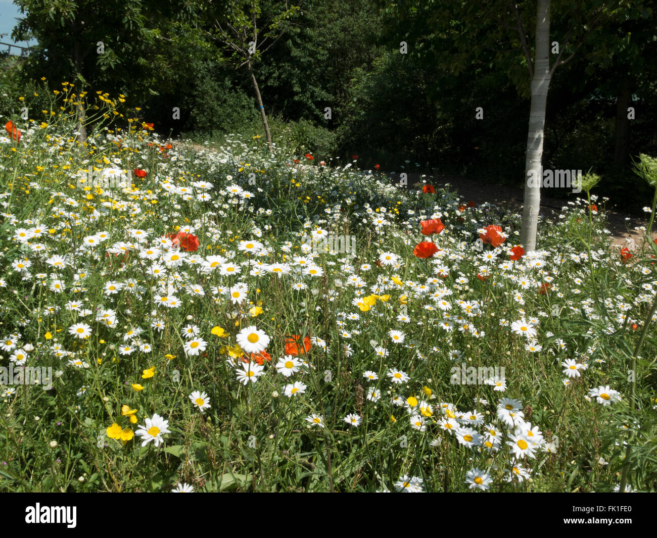 Lea Valley Olympic Park, 2015 floral display Stock Photo