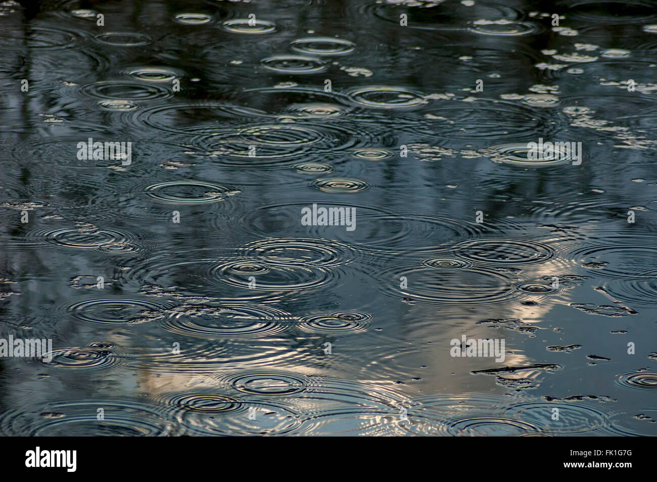 Pond at park in slight rain, Sofia Bulgaria Stock Photo