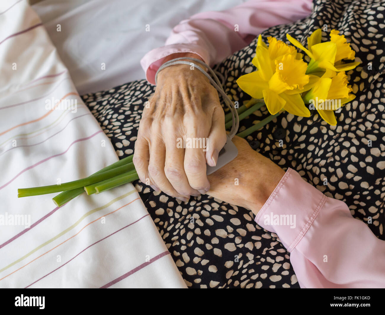 A dead woman with her hands folded on the stomach, holding daffodils Stock Photo