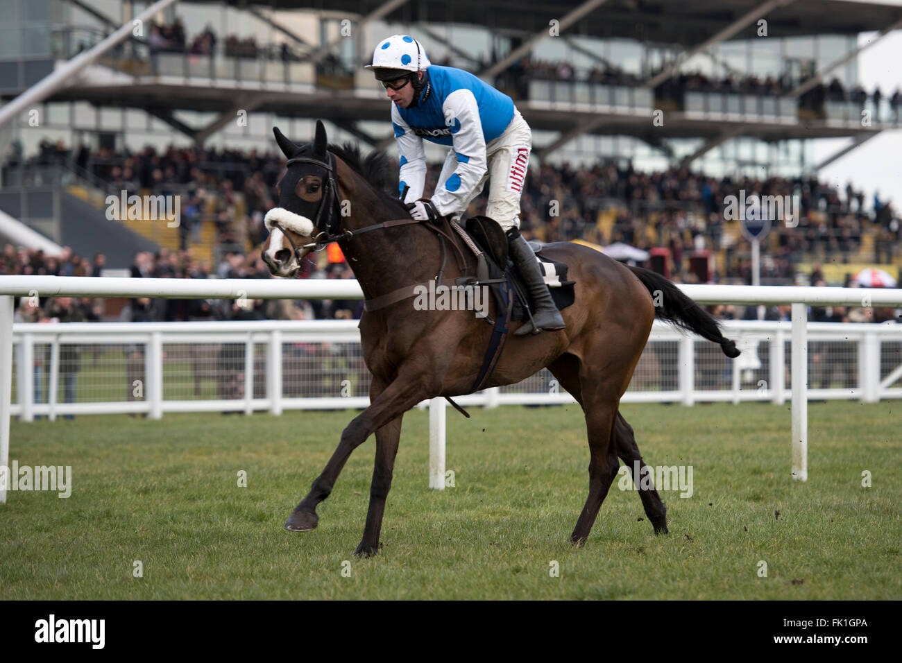 Newbury Racecourse, Berkshire, UK. 5th March, 2016. The Moore of Devizes Ltd supporting Greatwood Novices Handicap hurdle Bingo D'olivate and Wayne Hutchinson pass the post well clear Credit: Michael Stevens/ Alamy news Credit:  Michael Stevens/Alamy Live News Stock Photo