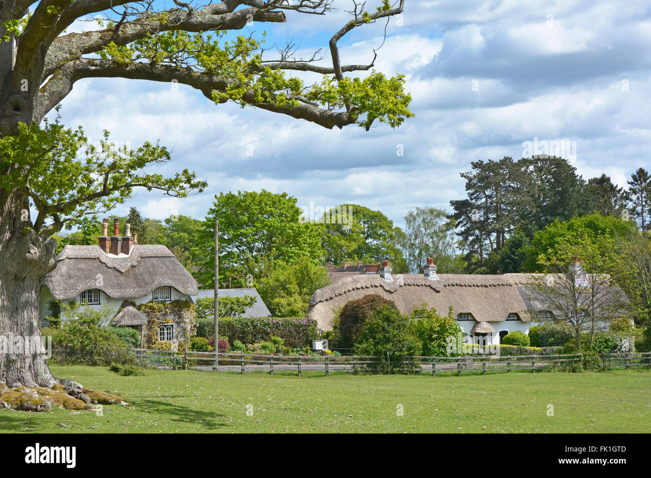 New Forest Lyndhurst Hampshire rural thatched country cottage homes in Swan Green countryside landscape in New Forest National Park England UK Stock Photo