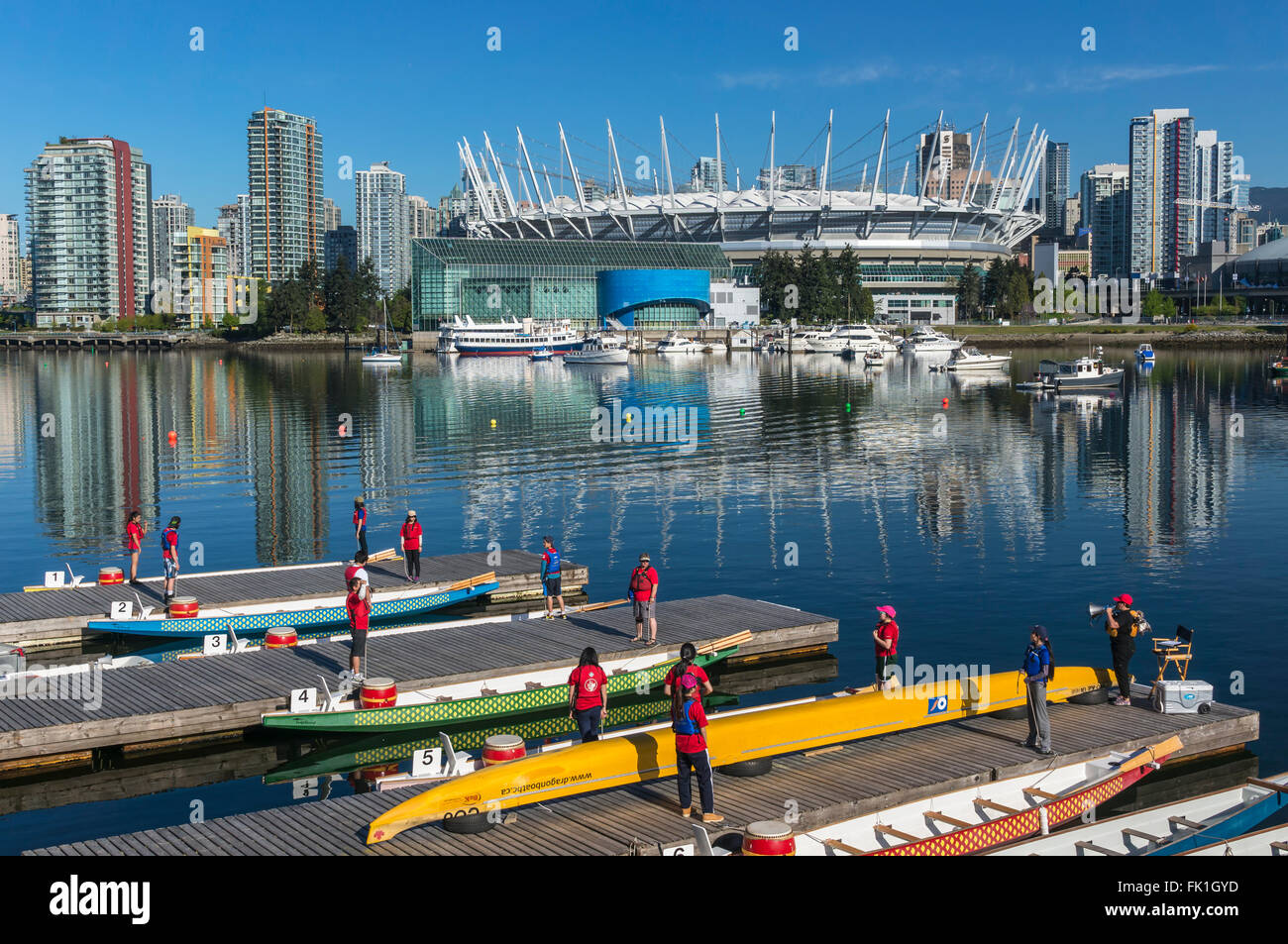 Rowers take part in dragon boat race at False Creek in Vancouver on May 05, 2013. Stock Photo