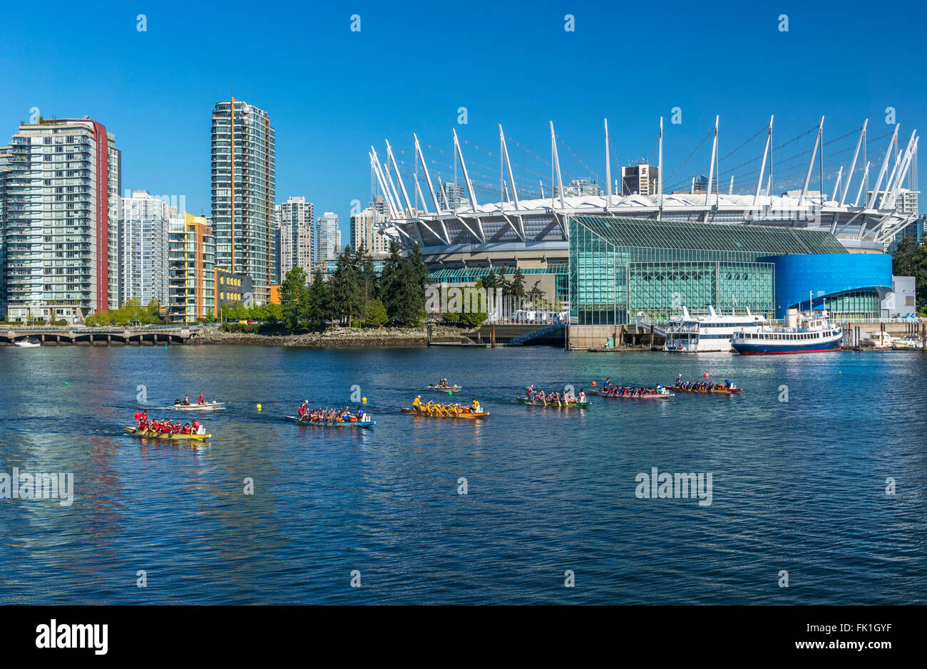 Rowers take part in dragon boat race at False Creek in Vancouver on May 05, 2013. Stock Photo