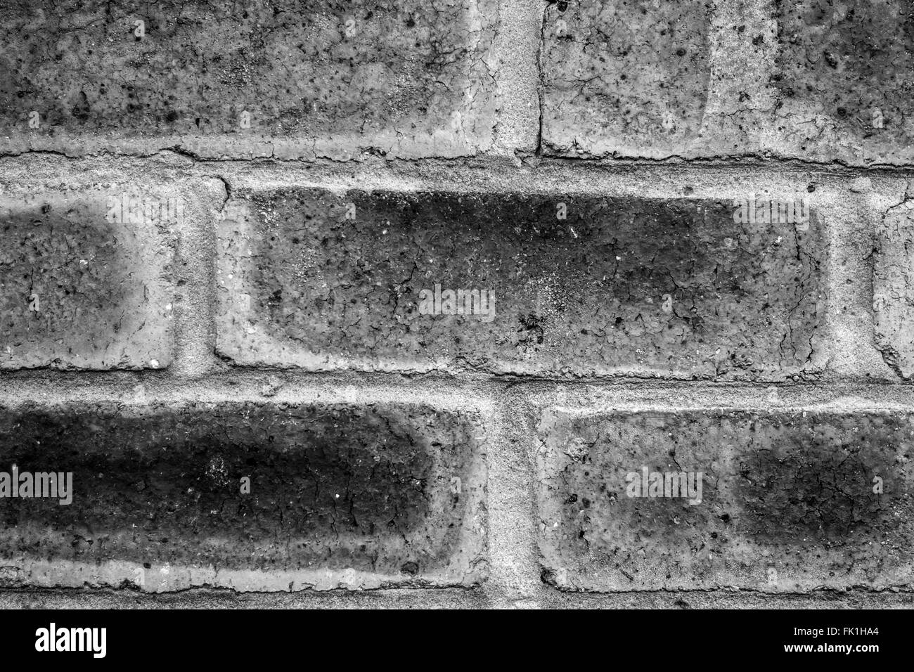 Wall or house bricks Stock Photo