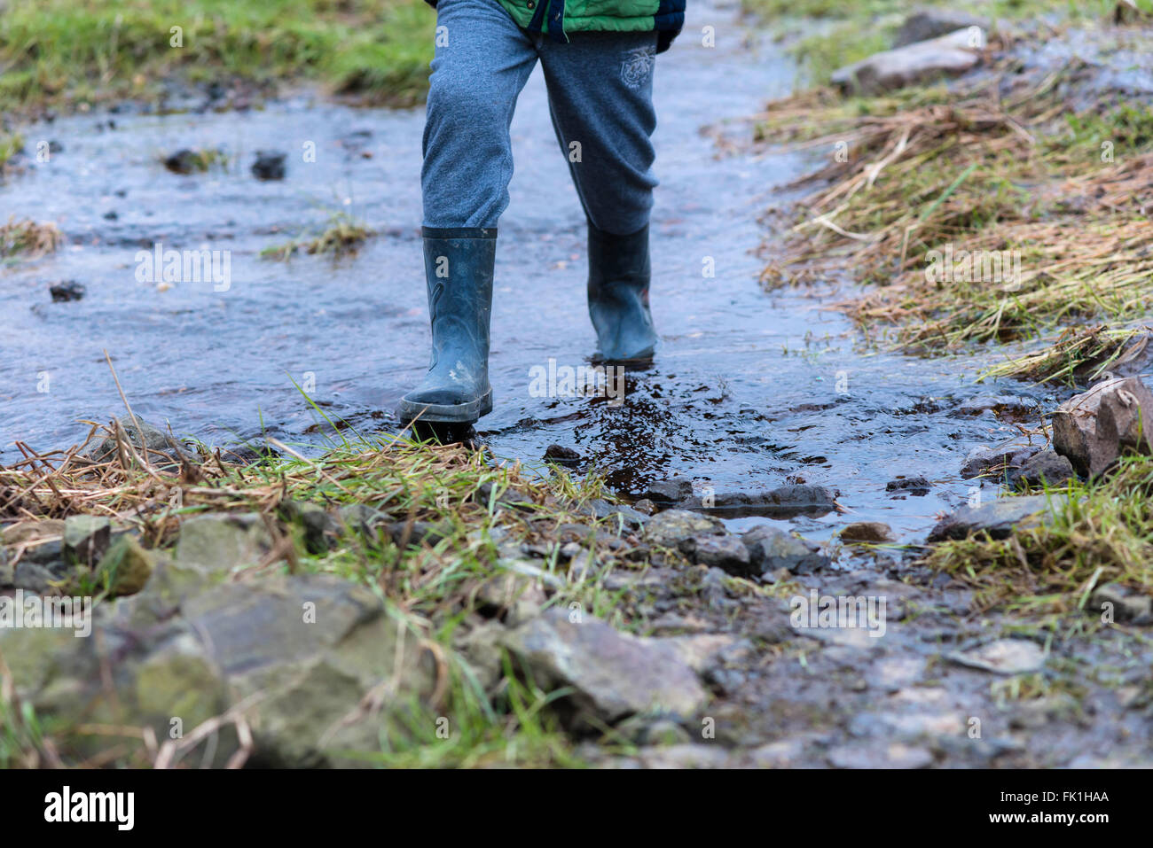Child walking through stream with wellies on Stock Photo